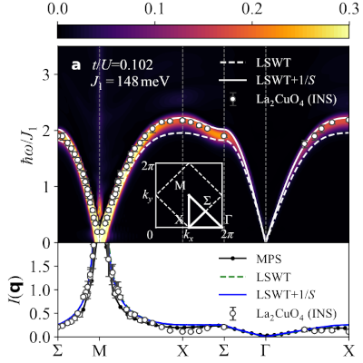 Dynamical structure factor of La2CuO4