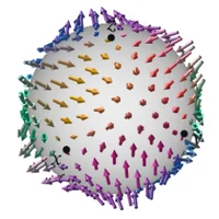 Spin texture shown as arrows on a sphere