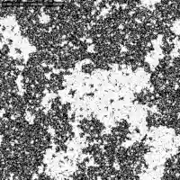 Critical spin configuration in 2D Ising Model